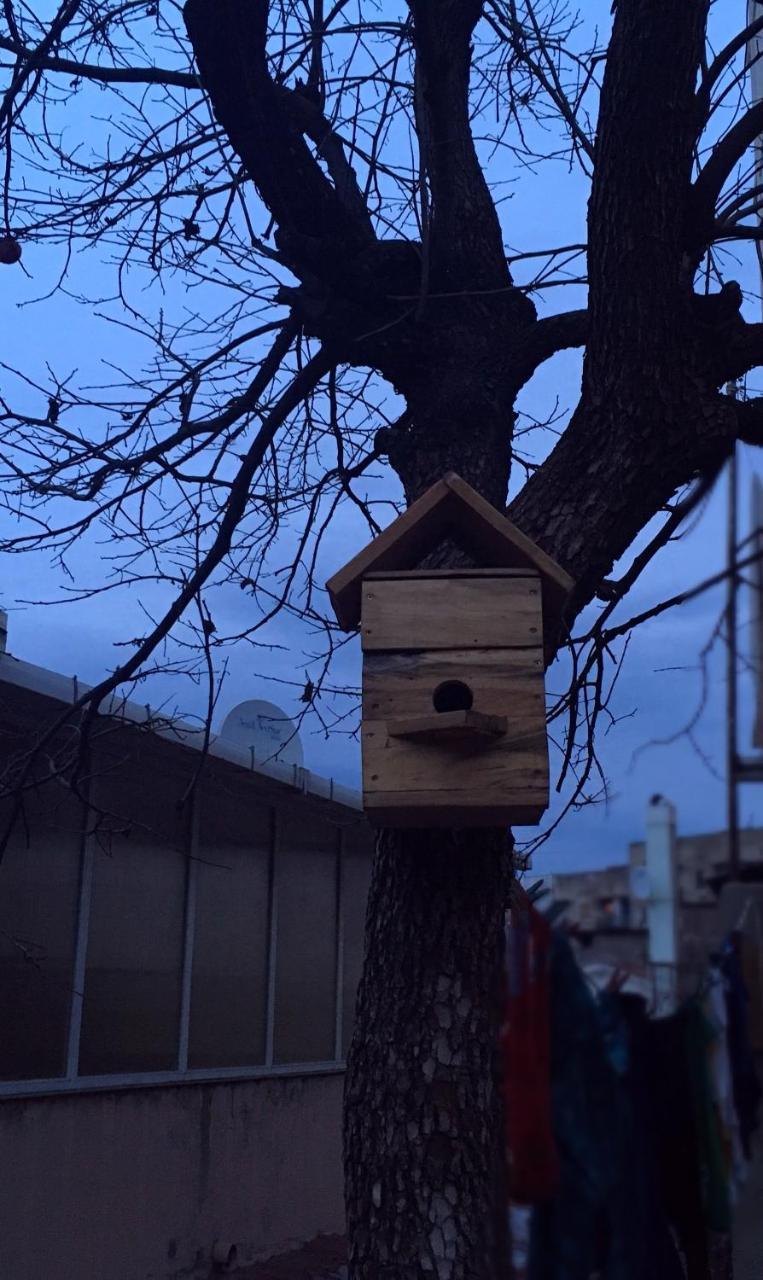 Birdhouse Rooms Tbilisi Buitenkant foto