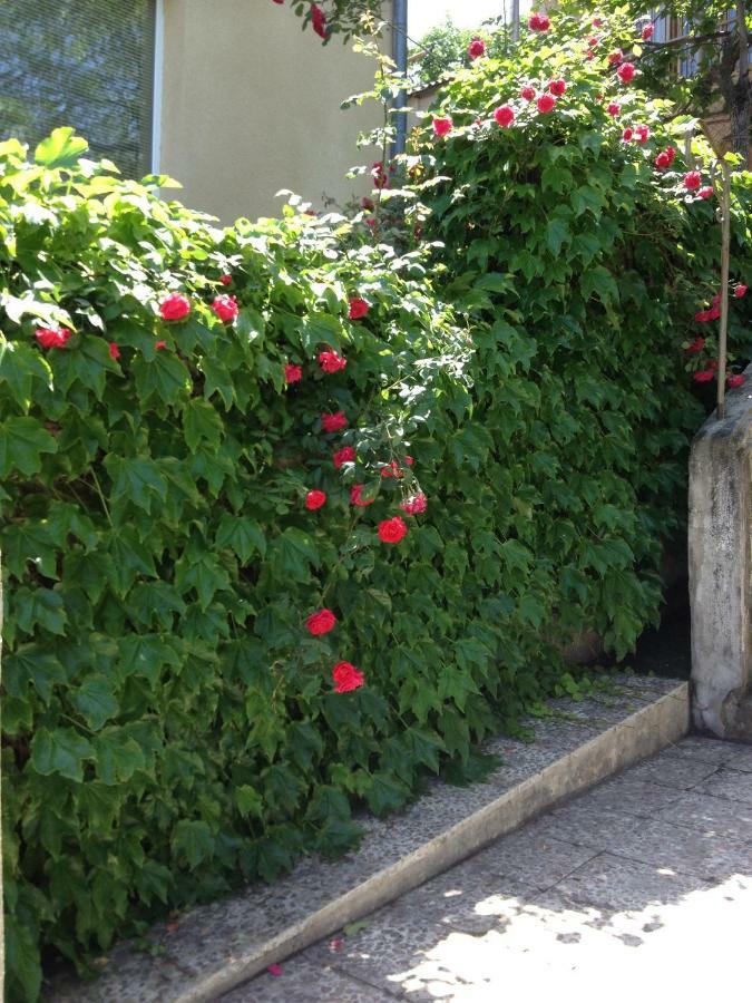 Birdhouse Rooms Tbilisi Buitenkant foto